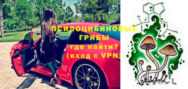 герыч Алексин